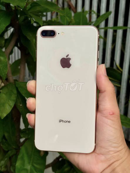 Apple iPhone 8 Plus 64GB Vàng hồng Vân tay. Mua bán Điện thoại tại Quận 1 Tp Hồ Chí Minh được đăng bởi Hội Đồ Điện Tử hình 1