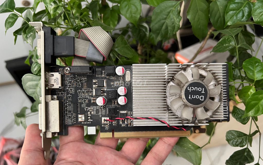Card màn hình MSI 620 1GD3 zin tháo máy. Mua bán Linh kiện (RAM, Card...) tại Quận Tây Hồ Hà Nội được đăng bởi MayTinhGiaReHaNoi hình 1