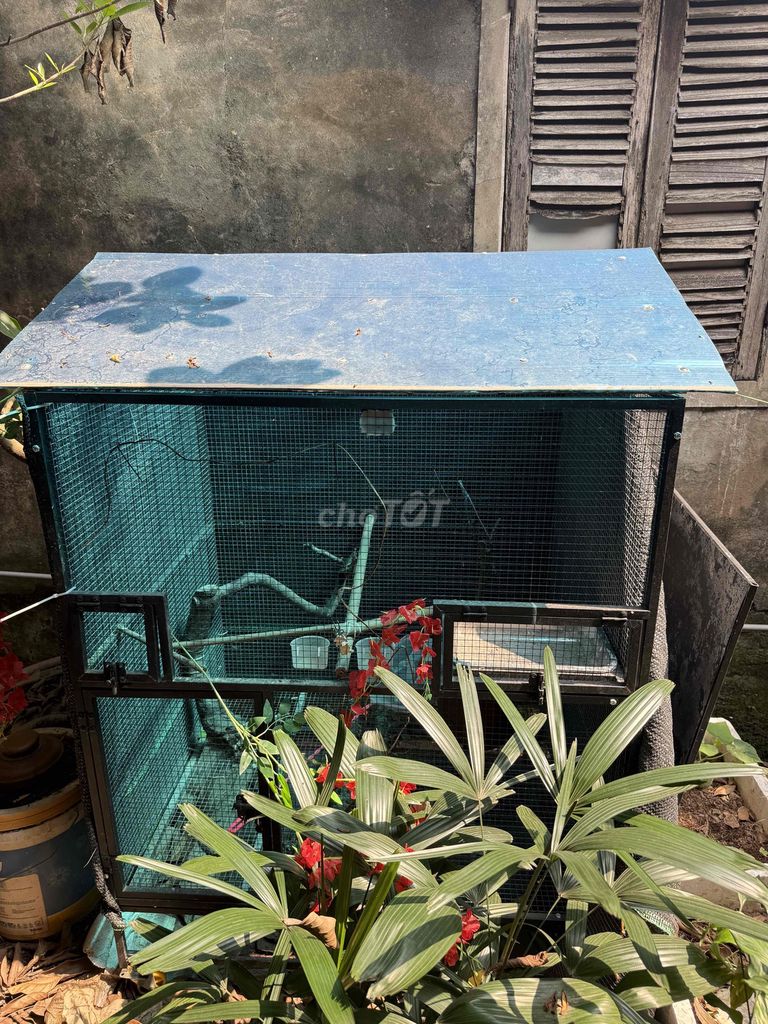 Lồng chim Inox 1m x 85cm x 1m5. Mua bán Phụ kiện, Thức ăn, Dịch vụ tại Quận Bắc Từ Liêm Hà Nội được đăng bởi vọng hình 1