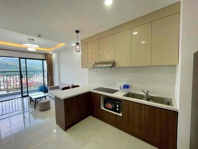 Rent · Căn hộ Sơn Trà Ocean View (The Summit) · 1 bd · 50 м² · Quận Sơn Trà, ул. Ngô Quyền