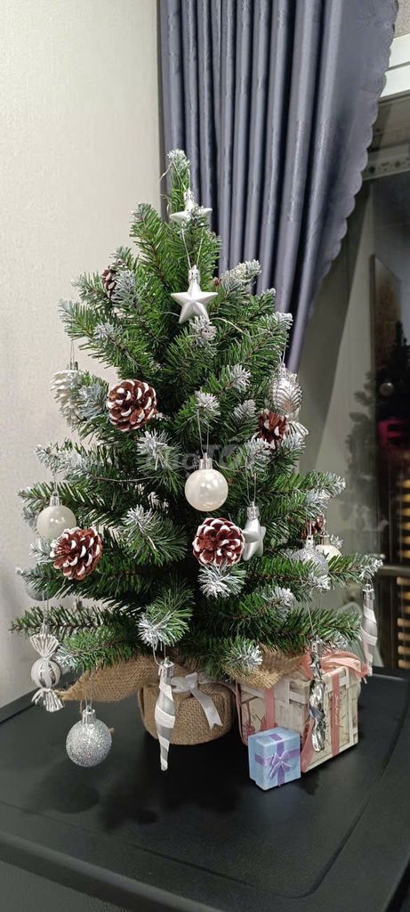 Cây thông Noel nhân tạo 60cm mới. Mua bán Cây cảnh, đồ trang trí tại Thành phố Vũng Tàu Bà Rịa - Vũng Tàu được đăng bởi Alex hình 1