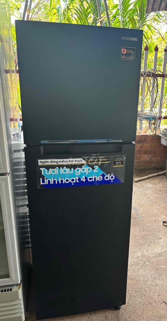 Tủ lạnh Samsung 256L Inverter Đen. Mua bán Tủ lạnh tại Huyện Châu Đức Bà Rịa - Vũng Tàu được đăng bởi Hà Minh hình 1