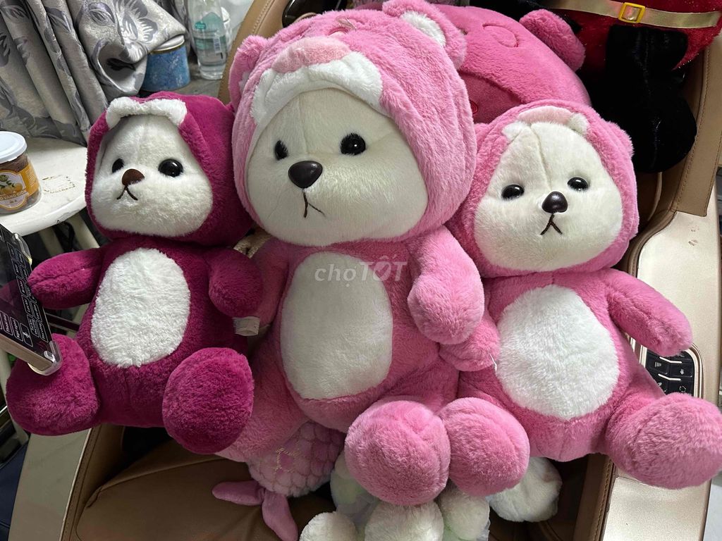 Gấu bông vải bông 30-40cm. Mua bán Sở thích khác tại Huyện Hóc Môn Tp Hồ Chí Minh được đăng bởi Trung hình 1