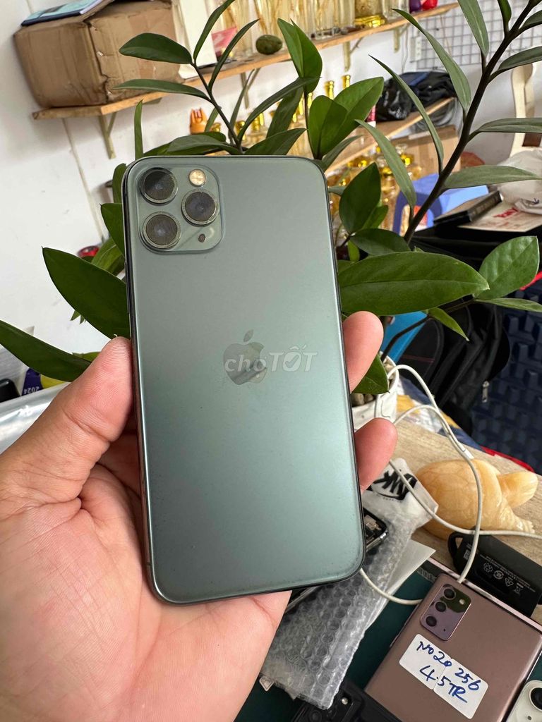 Apple iPhone 11 Pro 64GB Xám. Mua bán Điện thoại tại Thành phố Dĩ An Bình Dương được đăng bởi junstar store hình 1