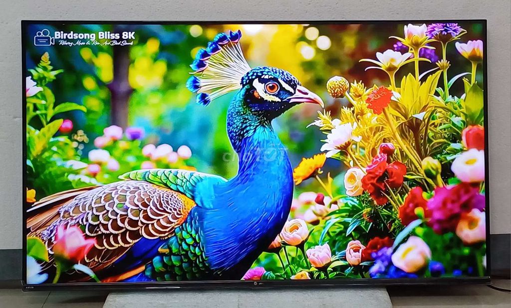 Tivi wifi 4K 50 Casper full viền giọng nói zin đẹp. Mua bán Tivi, Âm thanh tại Quận Ninh Kiều Cần Thơ được đăng bởi Luật Nguyễn hình 1