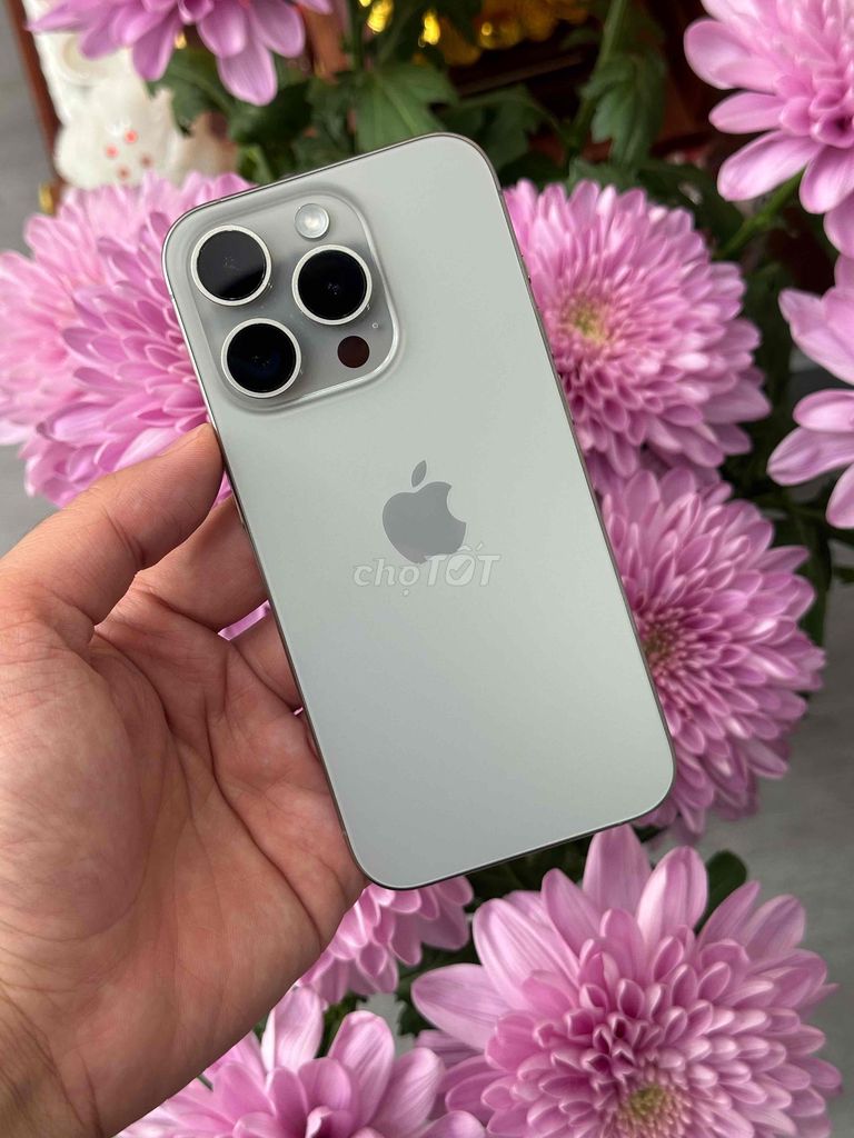 15 Pro 128GB Natural Qte Mỹ Pin 88 Zin ốc đẹp 99%. Mua bán Điện thoại tại Quận Ninh Kiều Cần Thơ được đăng bởi Quý Mobile Cần thơ hình 1