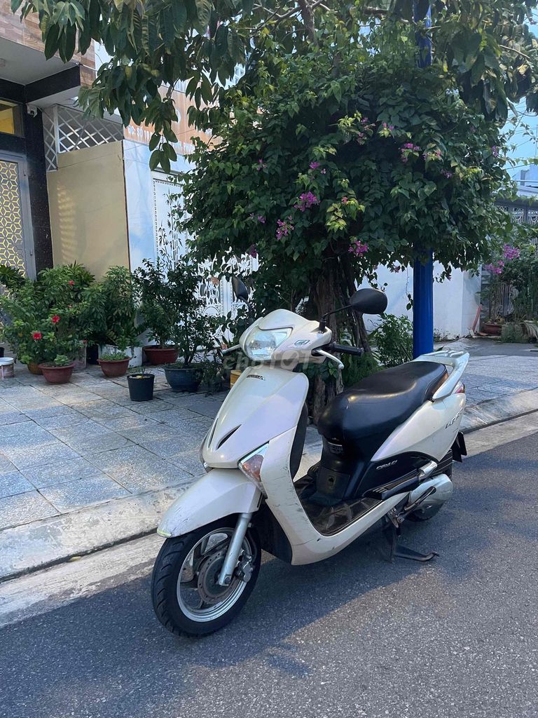Honda Lead Fi 110 кремово-желтый