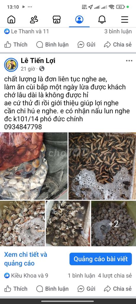 sỉ lẻ nghêu, sò, ốc các loại