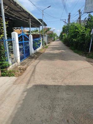 Cho thuê đất