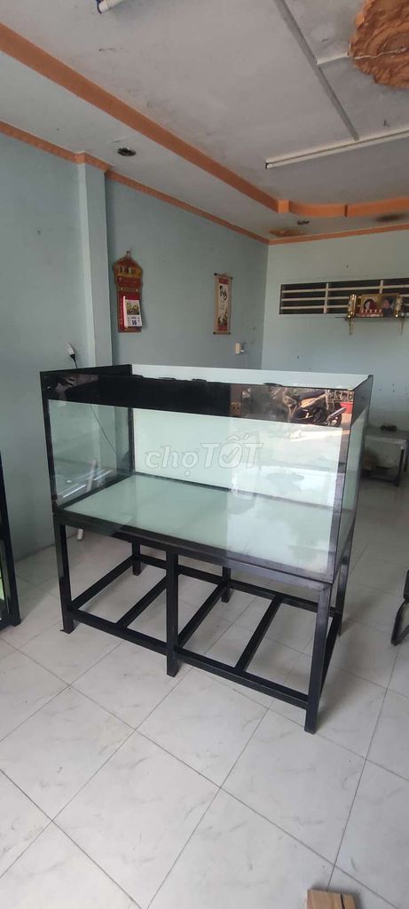 Bể cá cảnh Kính, Kim loại Trong suốt. Mua bán Phụ kiện, Thức ăn, Dịch vụ tại Quận Bình Thuỷ Cần Thơ được đăng bởi Nguyễn Duy Hậu hình 1