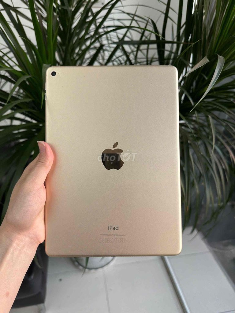 Apple iPad Air 2 128GB Vàng Đã sử dụng. Mua bán Máy tính bảng tại Thành phố Thủ Đức Tp Hồ Chí Minh được đăng bởi Thiên Tuấn Mobile  hình 1