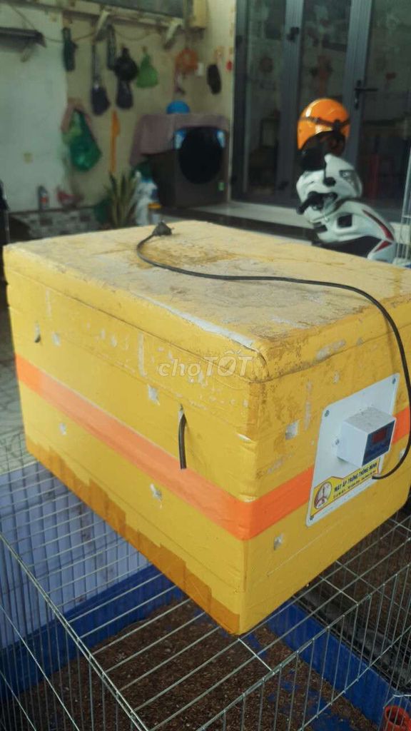 Máy ấp trứng thùng xốp vàng đã dùng. Mua bán Đồ chuyên dụng, Giống nuôi trồng tại Thành phố Thủ Đức Tp Hồ Chí Minh được đăng bởi vinh gaden hình 1