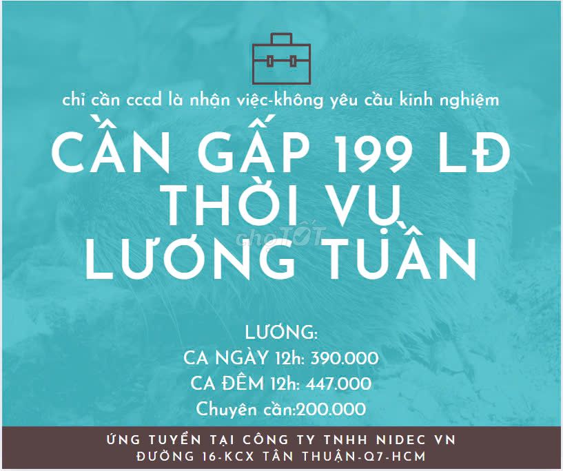 CẦN GẤP 199 LĐPT LƯƠNG TUẦN Q7