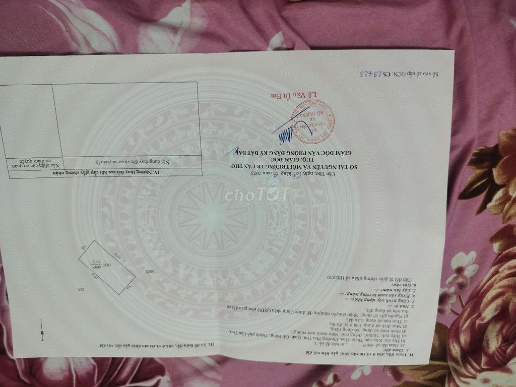 cần bán gấp nhà cấp bốn 