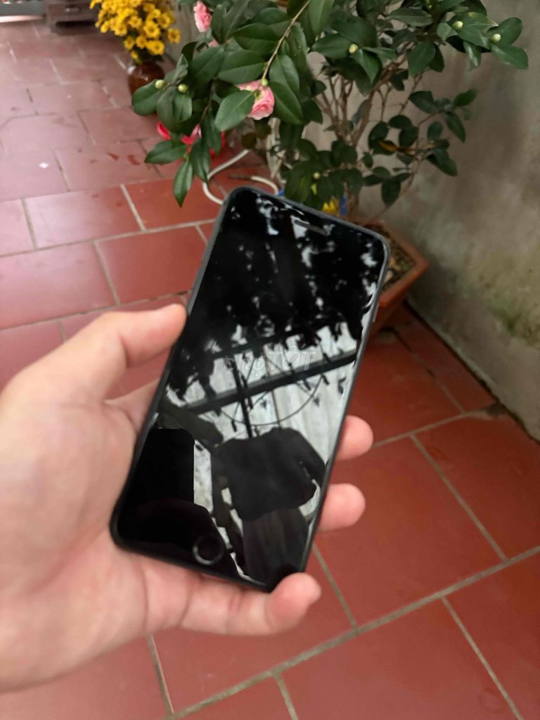 8 plus đẹp 256 gb. Mua bán Điện thoại tại Quận Long Biên Hà Nội được đăng bởi Đức Trung hình 1