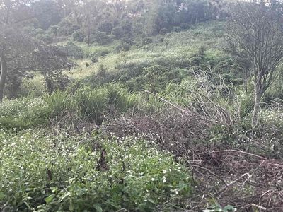 đất rẻ nhất thị trường. Mua bán đất tại Huyện Đắk Mil Đắk Nông được đăng bởi Gia Huy