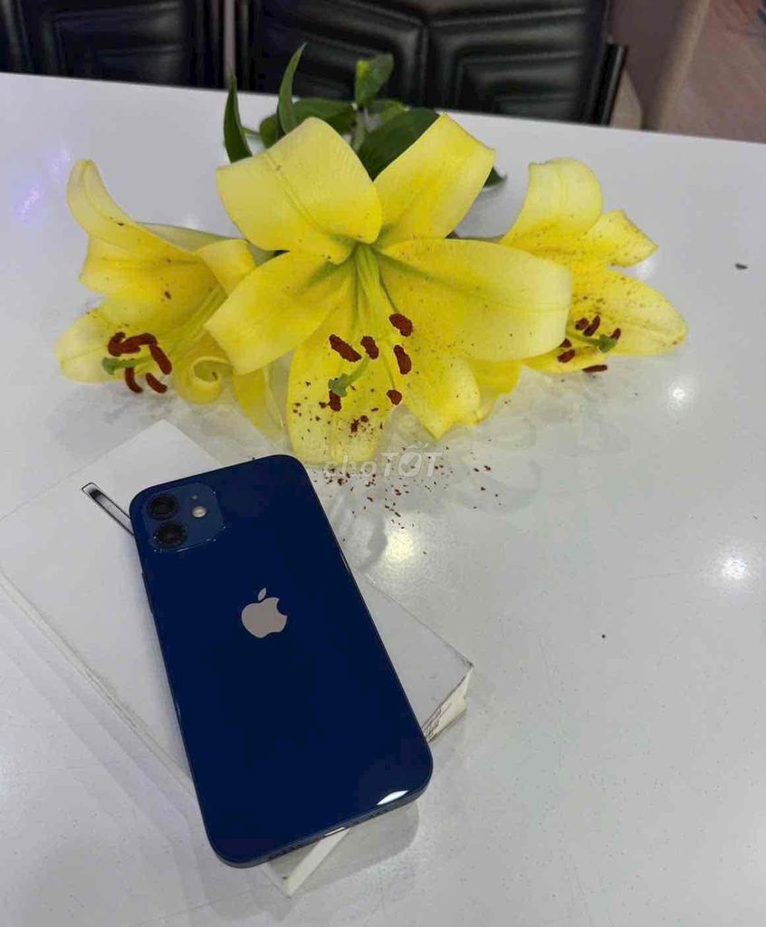 iphone12-128gb blue qtế mỹ pin new 100 zin áp suất. Mua bán Điện thoại tại Quận 3 Tp Hồ Chí Minh được đăng bởi Nam Á Mobile hình 1