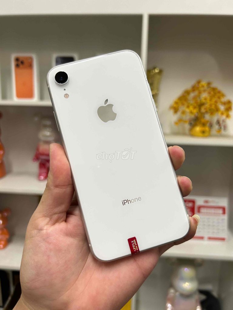 Apple iPhone XR 256GB cần giao lưu. Mua bán Điện thoại tại Quận Tây Hồ Hà Nội được đăng bởi Duy Anh hình 1