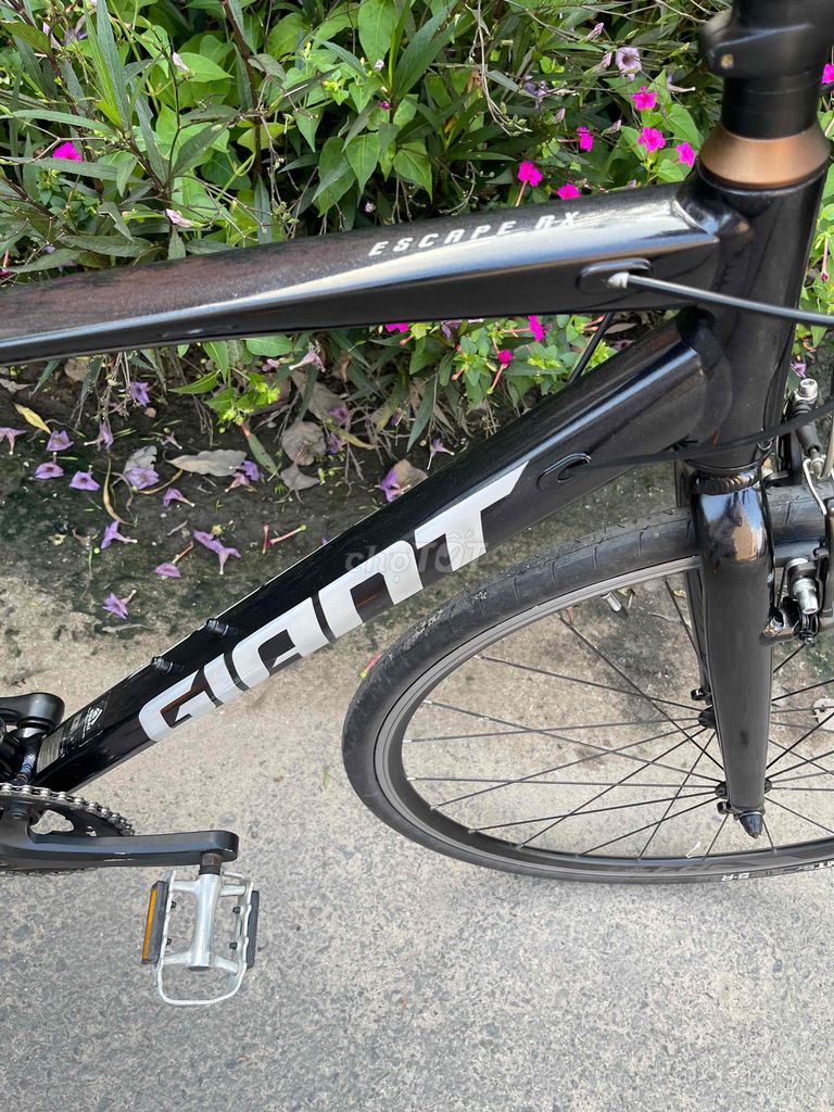 GIANT RX nội địa nhật. Mua bán Xe đạp tại Quận 12 Tp Hồ Chí Minh được đăng bởi  hồng nguyễn bike hình 8