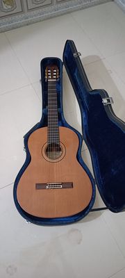 Guitar Matsuoka M100S