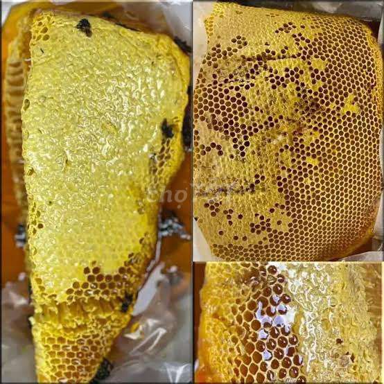 Mật ong rừng nguyên chất vị tự nhiên nâu cánh gián. Mua bán Đồ ăn, thực phẩm và các loại khác tại Thành phố Thủ Đức Tp Hồ Chí Minh được đăng bởi Hải Đăng  hình 1