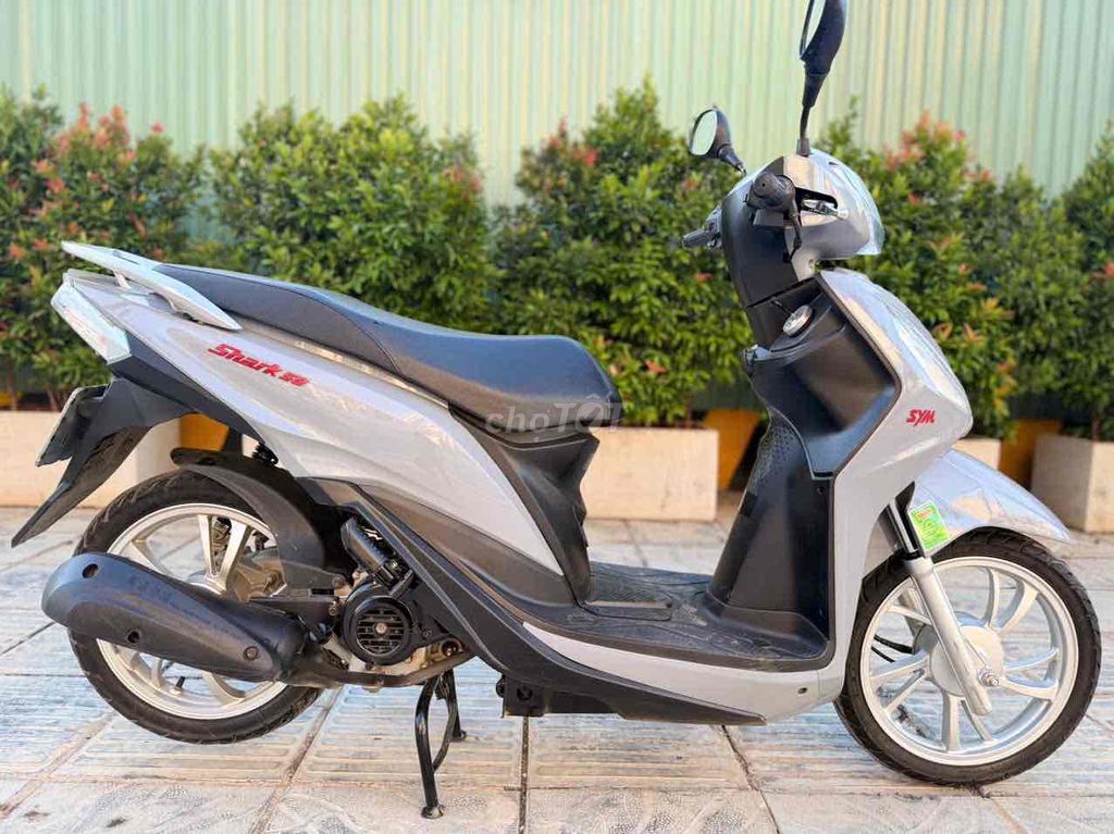 Серый цемент SYM Shark 50 куб. см 2026