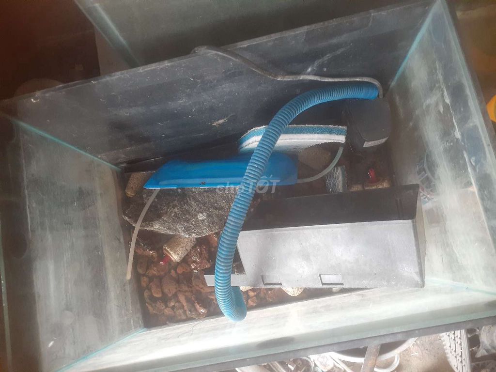 Bể cá cảnh Kính trong suốt. Mua bán Phụ kiện, Thức ăn, Dịch vụ tại Huyện Bình Chánh Tp Hồ Chí Minh được đăng bởi Hai hình 1