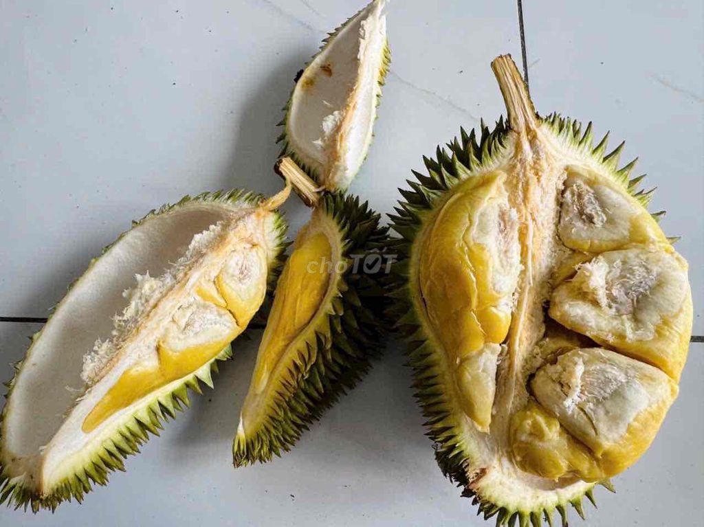 Sầu riêng Sáu Hữu