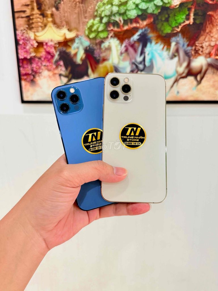 ip 12pro 128G Quốc Tế zin ful. góp TT 3tr8 oke 🥰. Mua bán Điện thoại tại Thành phố Thủ Đức Tp Hồ Chí Minh được đăng bởi Điện Thoại Tốt giá sinh viên  hình 1