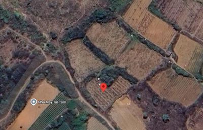 🔥 CHÍNH CHỦ BÁN 3 LÔ ĐẤT ĐẸP ĐỨC TRỌNG | GIÁ ĐẦU TƯ CHỈ 2,9 TRIỆU/M2 🔥