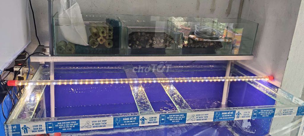 Hồ Cá full đầy đủ.. Mua bán Phụ kiện, Thức ăn, Dịch vụ tại Huyện Trảng Bàng Tây Ninh được đăng bởi CÁ CẢNH TB hình 4