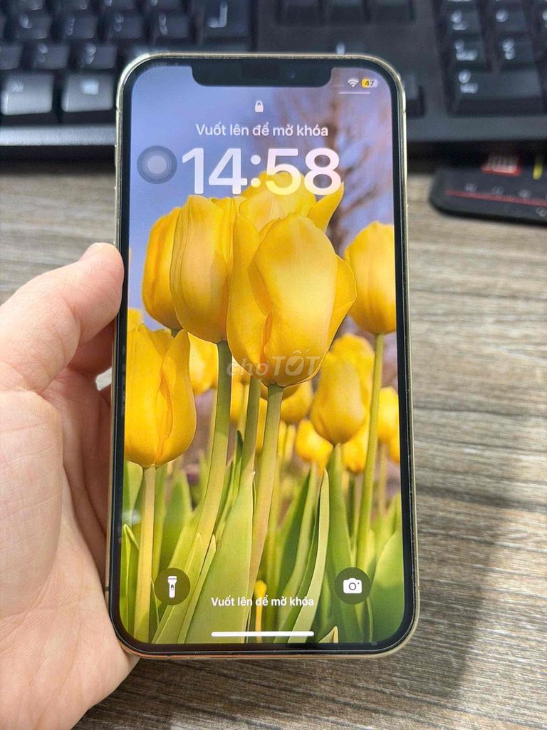 iPhone 12 Pro 128GB Vàng. Mua bán Điện thoại tại Quận Hà Đông Hà Nội được đăng bởi Trần Tuấn hình 1