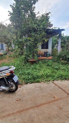 bán đất có nhà cấp 4