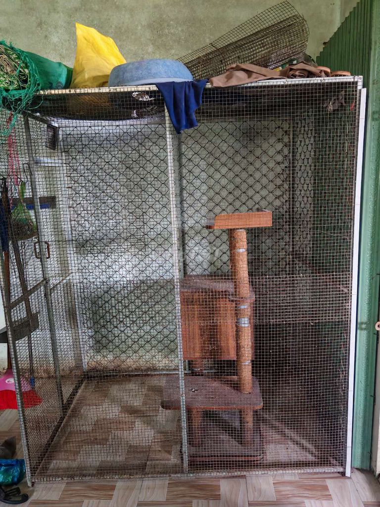 Chuồng Avi ,chim ,mèo kim loại 2mx1m8x1m1. Mua bán Phụ kiện, Thức ăn, Dịch vụ tại Huyện Phong Điền Cần Thơ được đăng bởi Nguyễn Mừng  hình 1