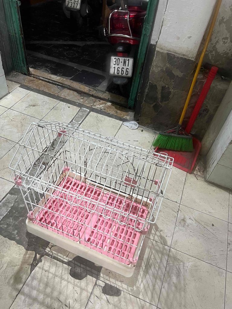 Phụ kiện chó Kim loại, nhựa Trắng hồng. Mua bán Phụ kiện, Thức ăn, Dịch vụ tại Quận Đống Đa Hà Nội được đăng bởi Đức Anh HP hình 1