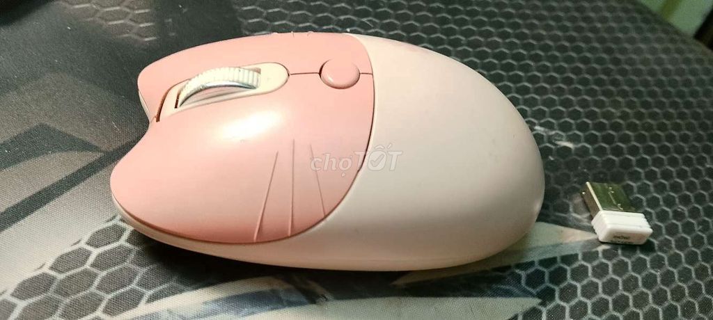 Chuột Mophii Bluetooth Hồng. Mua bán Phụ kiện (Màn hình, Chuột...) tại Quận 11 Tp Hồ Chí Minh được đăng bởi Sữa tươi hình 1