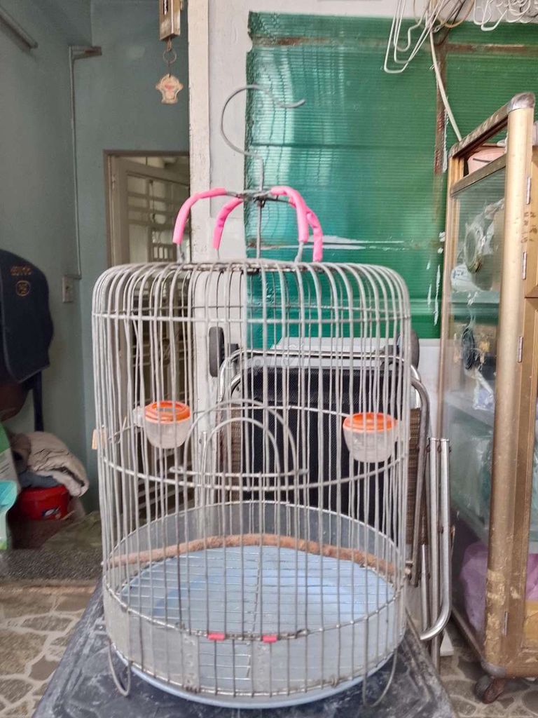 Lồng chim kim loại màu bạc. Mua bán Phụ kiện, Thức ăn, Dịch vụ tại Quận 7 Tp Hồ Chí Minh được đăng bởi hoang phuc hình 1