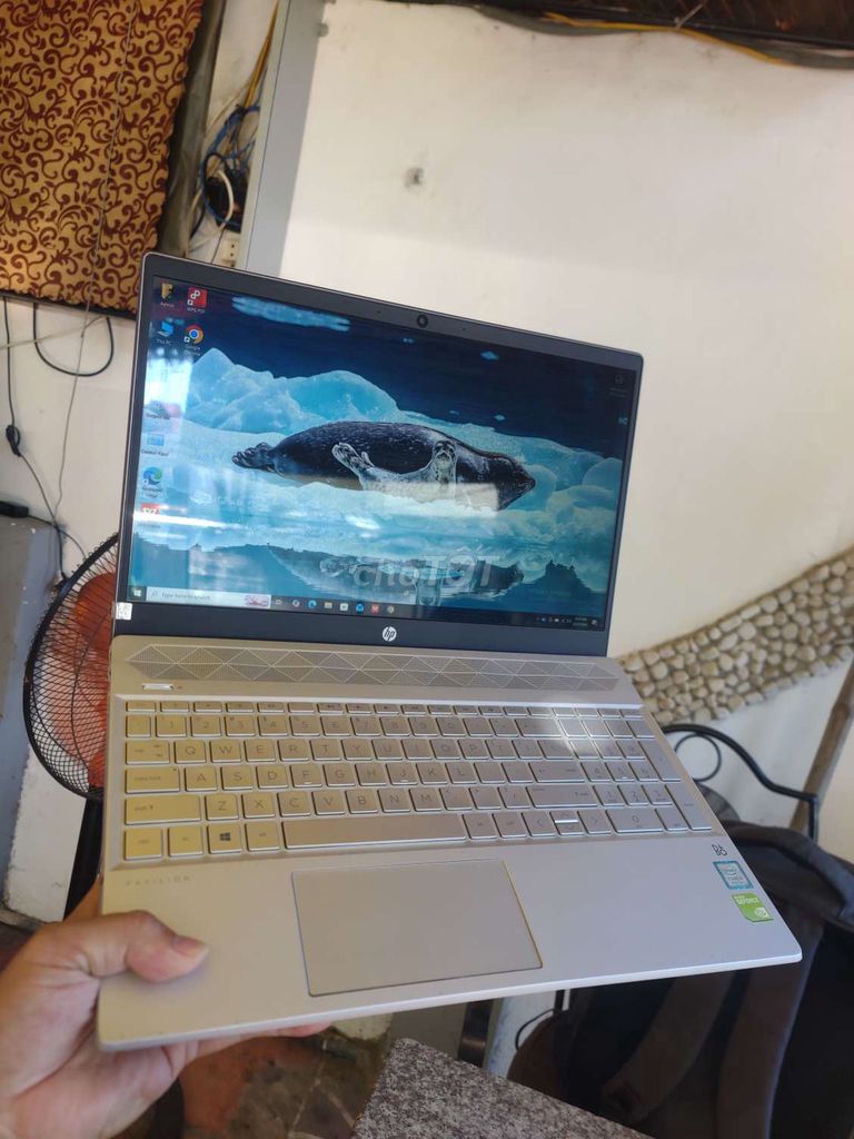 HP  i5 8265U 8GB/128GB SSD+500GB HDD MX130. Mua bán Laptop tại Thành phố Vũng Tàu Bà Rịa - Vũng Tàu được đăng bởi Nguyễn Lộc hình 1