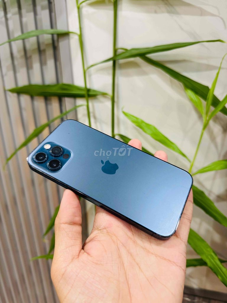 iPhone 12 Pro 256G Quốc Tế Full. Mua bán Điện thoại tại Quận Thanh Khê Đà Nẵng được đăng bởi Vip Phone hình 1
