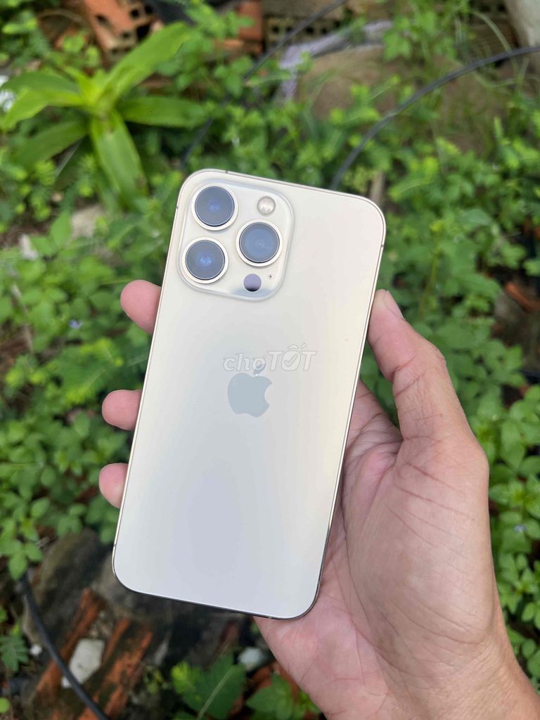 Apple iPhone 13 Pro 128GB Vàng J/A quốc tế. Mua bán Điện thoại tại Quận Ninh Kiều Cần Thơ được đăng bởi Bảo An Mobile hình 1