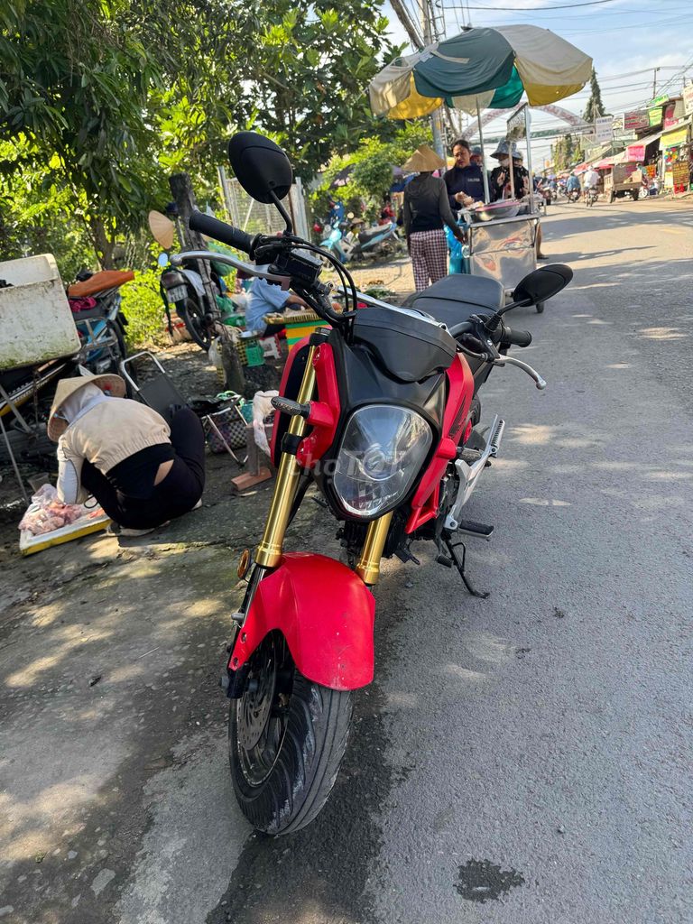 Honda MSX 125 2016 Đỏ. Mua bán Xe máy tại Quận 10 Tp Hồ Chí Minh được đăng bởi Ngananh hình 4