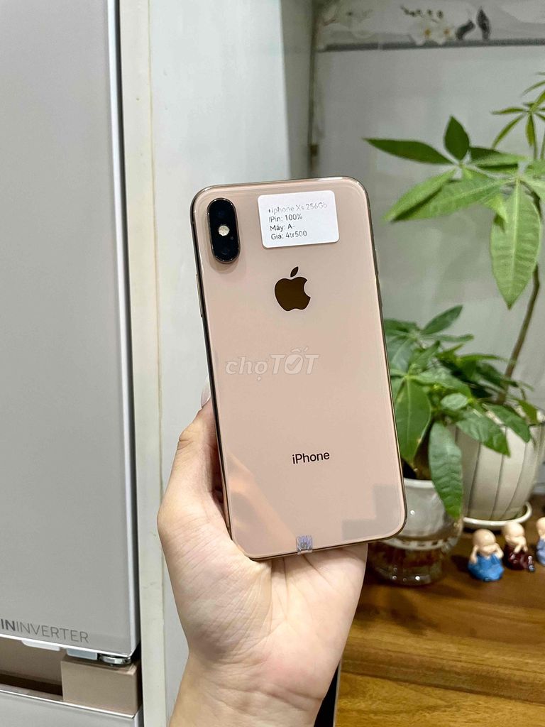 iPhone XS 256GB màu Vàng Gold đẹp 99%. Mua bán Điện thoại tại Huyện Hóc Môn Tp Hồ Chí Minh được đăng bởi Luân Hoài hình 1