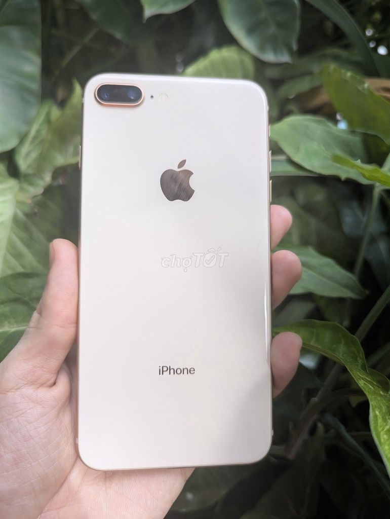 iPhone 8 Plus 64GB QT, full chức năng, máy đẹp. Mua bán Điện thoại tại Quận 12 Tp Hồ Chí Minh được đăng bởi Nguyễn Hoàng hình 1