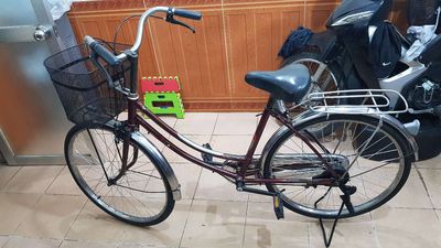Xe đạp mini Nhật vành inox 24 inch