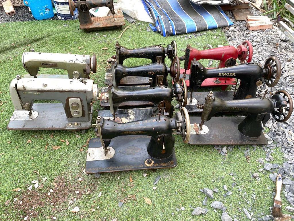 Đầu máy may cổ điển. Mua bán Đồ chuyên dụng, Giống nuôi trồng tại Thành phố Thủ Đức Tp Hồ Chí Minh được đăng bởi Nguyễn Ri hình 1