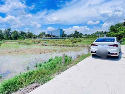 Cực rẻ! thổ đường xe hơi, diện tích lớn. Mua bán đất tại Huyện Tân Trụ Long An được đăng bởi Tuyến Lê