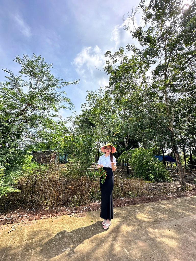 đất gần trường gần chợ dân đông. Mua bán đất tại Huyện Phú Giáo Bình Dương được đăng bởi Tâm Như hình 1