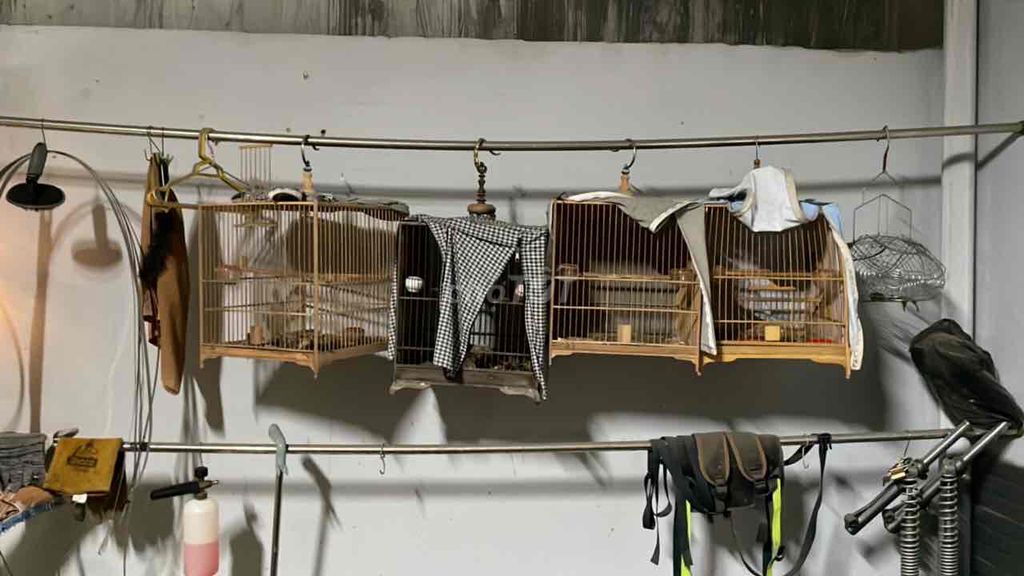 Lồng chim Chào mào gỗ. Mua bán Phụ kiện, Thức ăn, Dịch vụ tại Huyện Long Thành Đồng Nai được đăng bởi Nguyễn Hữu Hiệp hình 1