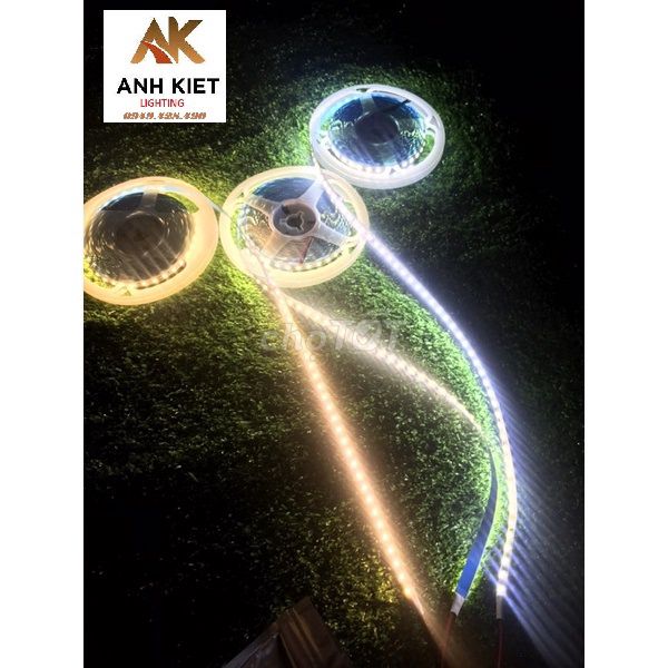 Đèn LED dây 12V/120 chíp/ cuộn 5m. Mua bán Đèn tại Thành phố Thủ Đức Tp Hồ Chí Minh được đăng bởi bích led QLC hình 1