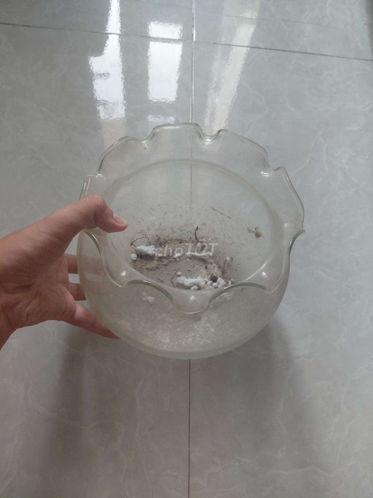 Hồ cá thủy tinh tròn . Mua bán Phụ kiện, Thức ăn, Dịch vụ tại Quận Tân Phú Tp Hồ Chí Minh được đăng bởi minh đăng hình 1